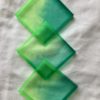 Lime Thyme Coaster Set